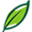 植提桥—一座桥,架起中国大健康