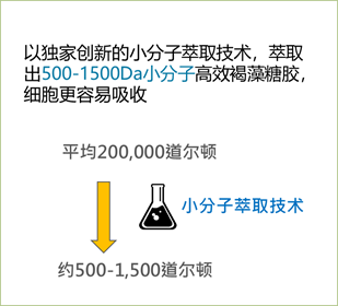 12060103.png