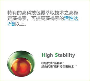 12060104.png
