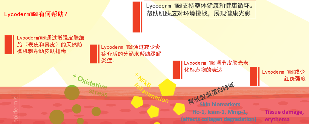 160105.png