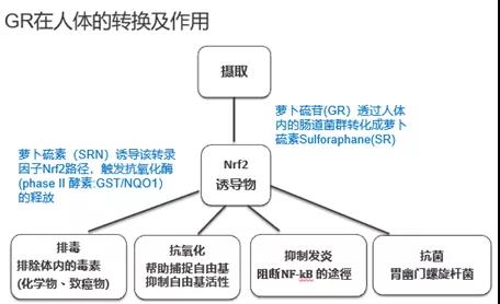 科耐欧 01.jpg