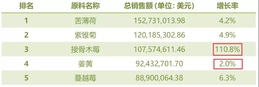 02接骨木 01.jpg