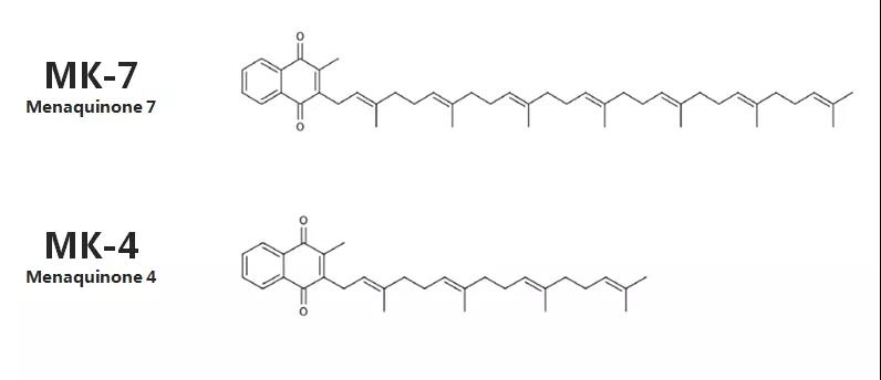 1605164875812016.jpg