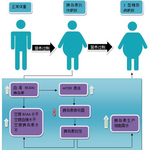 TIM截图20180130192323.jpg