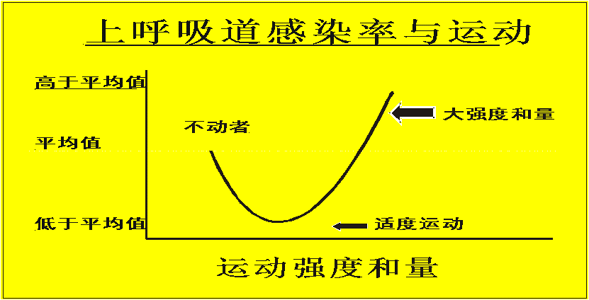 43.png